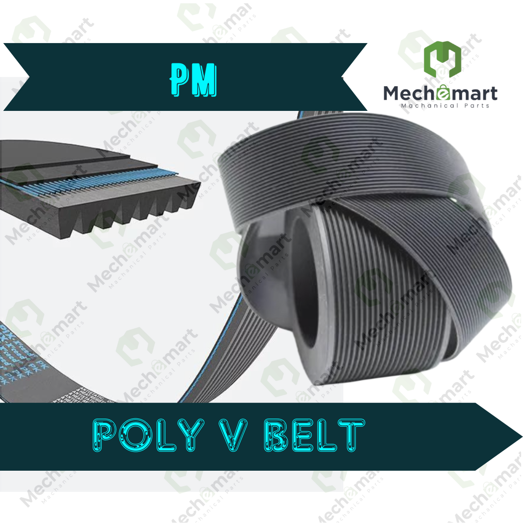 PM Multirib Poly V Belt